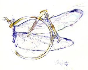 maybelleillustration