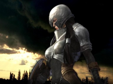 Official Kingdom Under Fire: Heroes Art