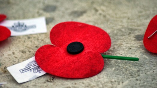 anzac-poppy